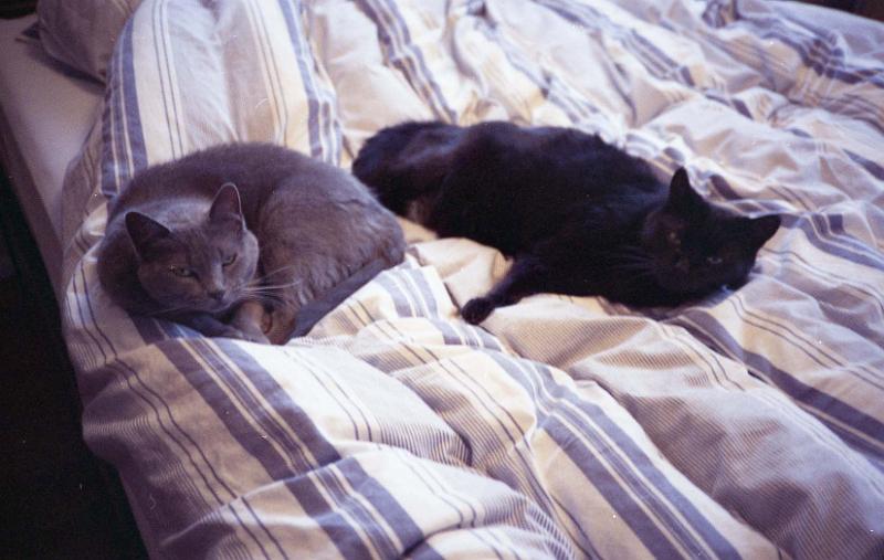 2000-09 Jesse and Annabelle Renton.jpg